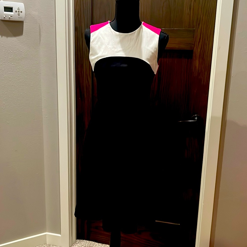 Size 2 Calvin Klein Black/Pink/White Dress